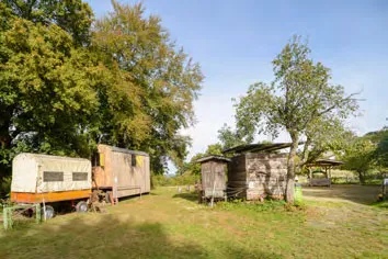 Weide mit Unterstand