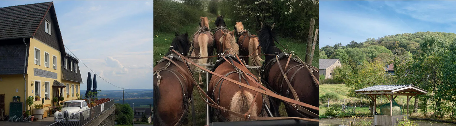Wanderreitstation 20 Haus Weide mit Heufütterung und 6-er Gespann und Pferde