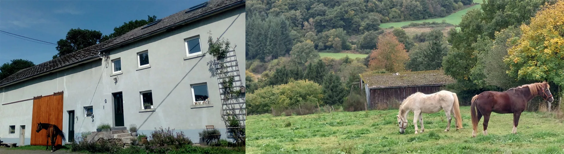 Wanderreitstation 09 Gebäude Wanderreitstaion Alferberg, Pferdeweide