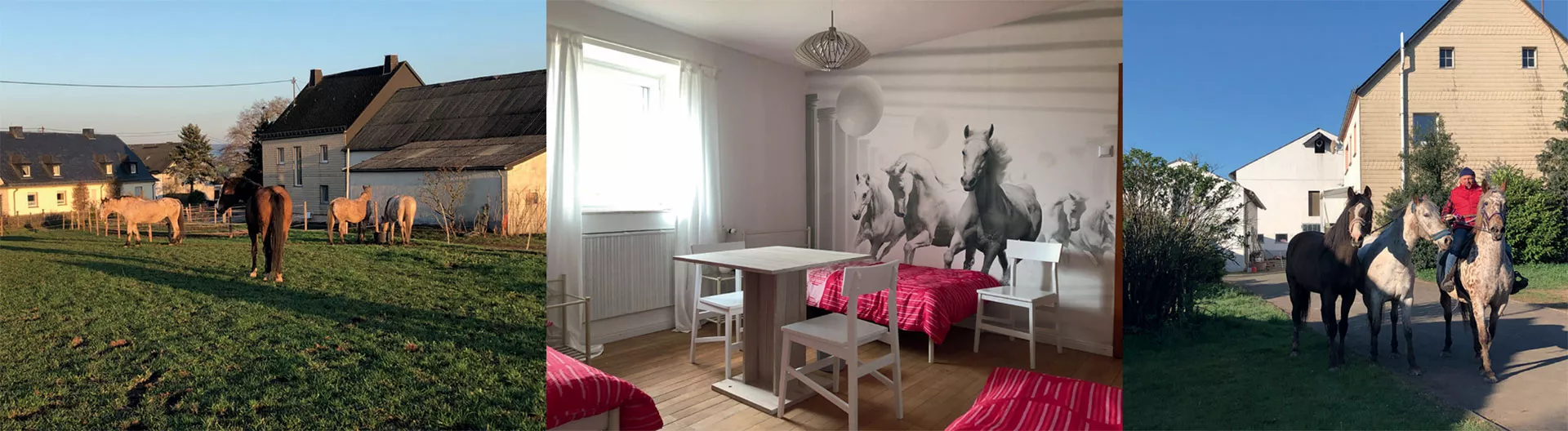 Wanderreitstation 15 Pferde auf der Weide, Gästezimmer, Reiter  mit 2 Handpferden