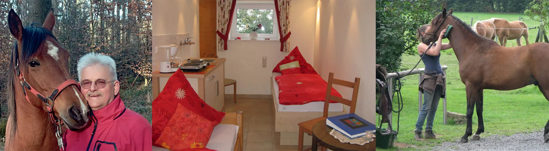 Wanderreitstation 21 Person mit Pferd, Gästezimmer, Pferd wird geputzt