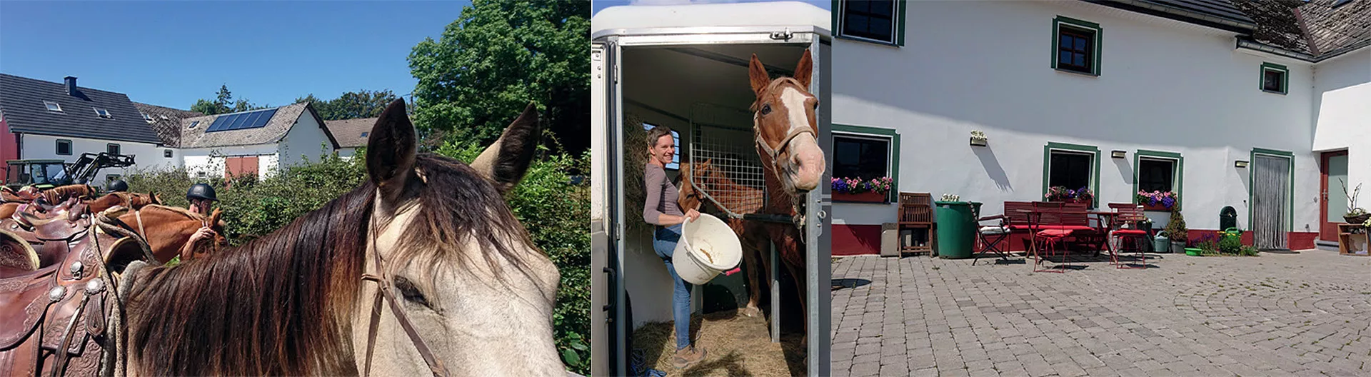 Wanderreitstation 24 gesatteltes Pferd, Pferd auf dem Anhänger, Hofeingang mit Terrasse