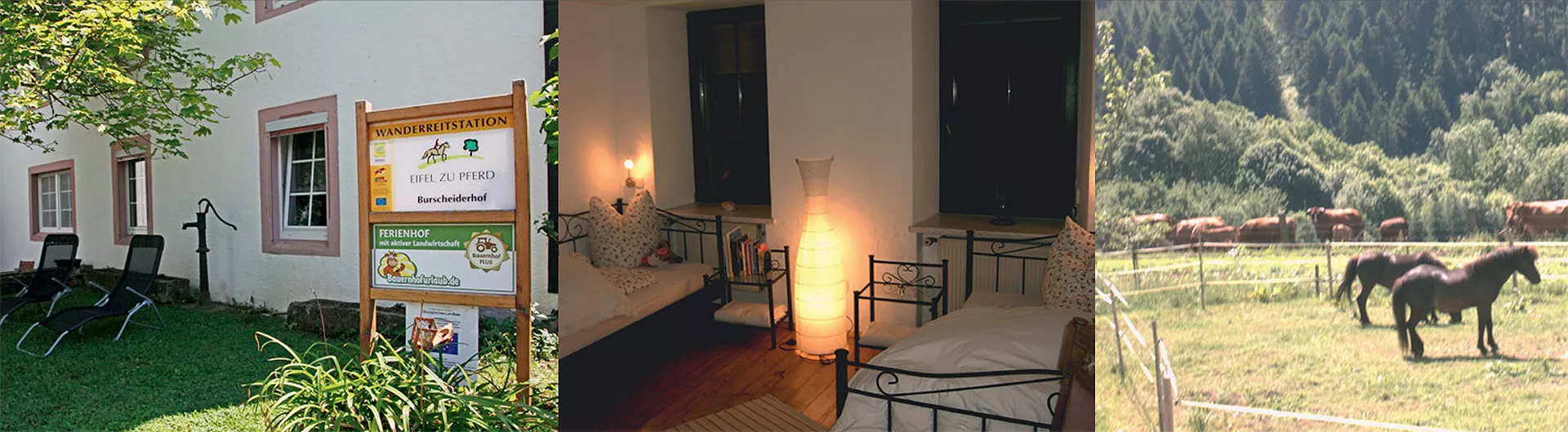 Wanderreitstation 26 Hofansicht, Gästezimmer Innenansicht, Weidepaddocks