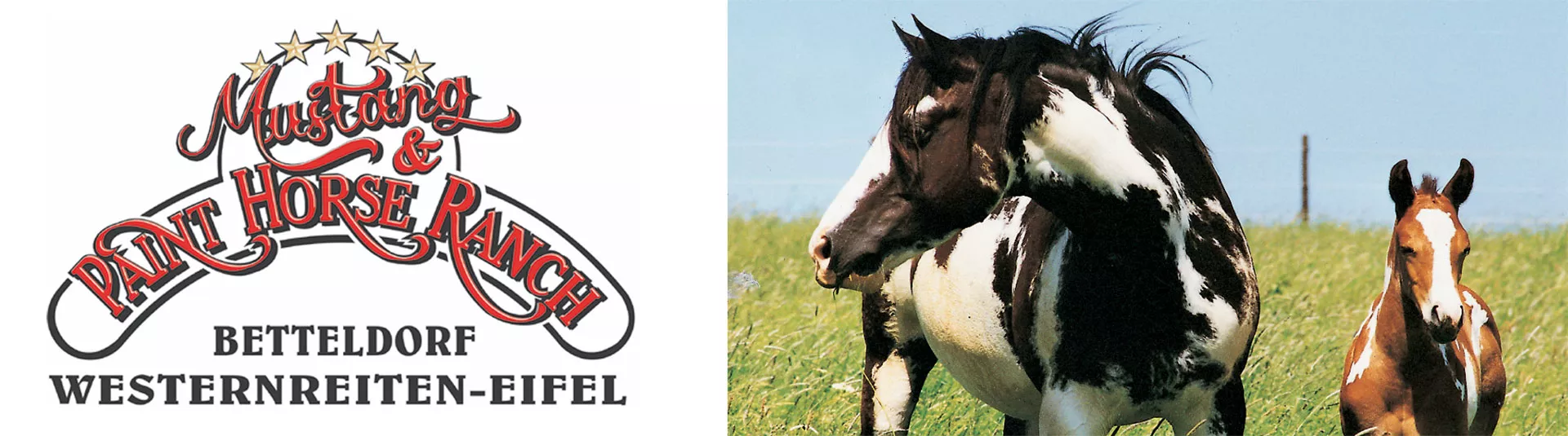 Wanderreitstation 36 Logo und Paint Horse Stute mit Fohlen