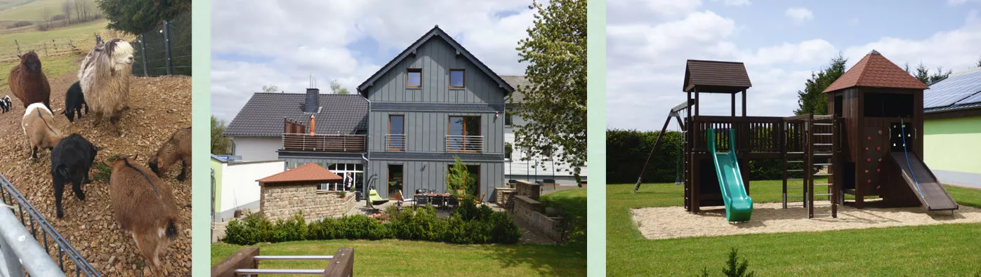 Denterhof Ansicht Terrasse, Kinderspielplatz, Alpakas und Ziegen