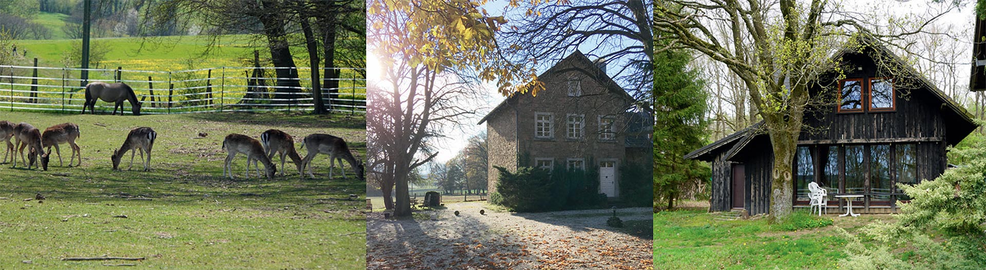 Wanderreitstation 51 Damwild und Pferde auf der Weide, Wohnhaus, Gästehaus