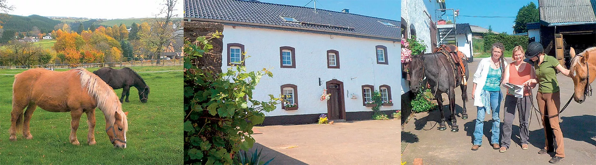 Wanderreitstation 52 Haus, Pferde auf der Weide, Gäste vor dem Abritt Weiden und Pferde