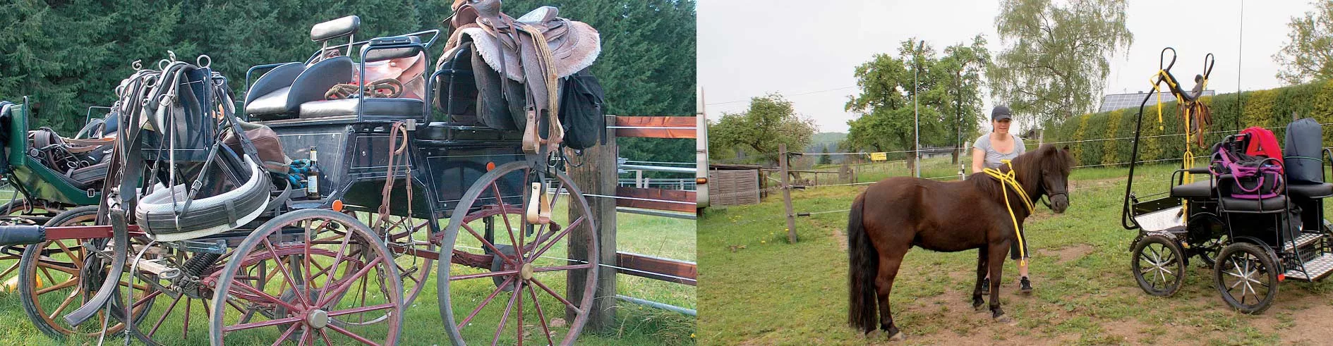 Historische Kutsche und Kleinpferd mit Kutsche