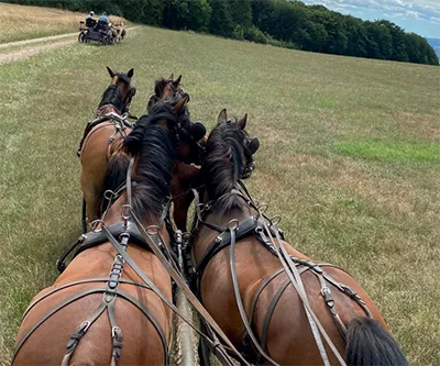 4-er Gespann Kutsche