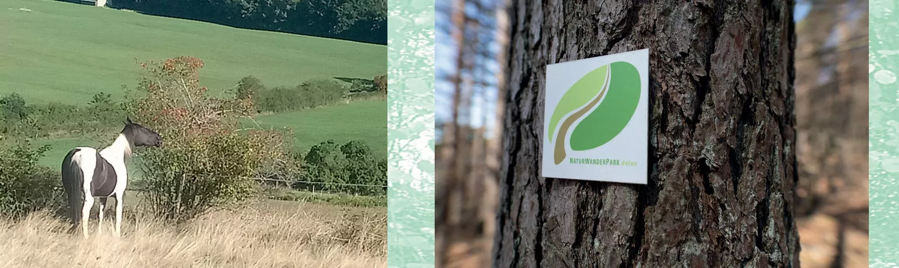 Pferd knabbert am Gebüsch, Schild Naturwanderpark delux