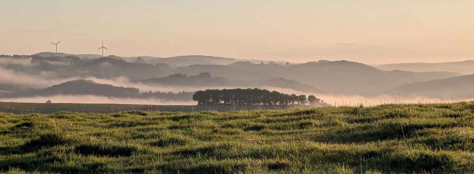 Weiden, im Hintergrund Höhenzüge, Nebel steigt aus den Tälern