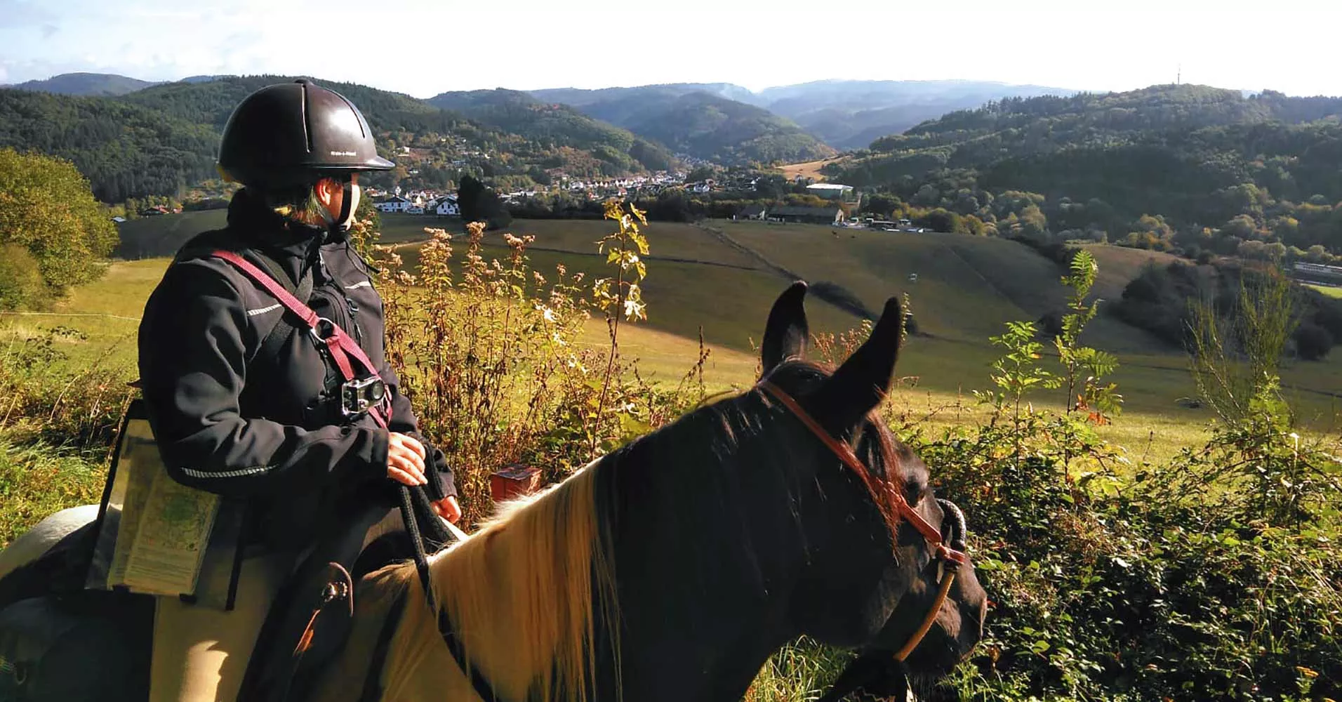 Reiterin und Pferd schauen in die Landschaft