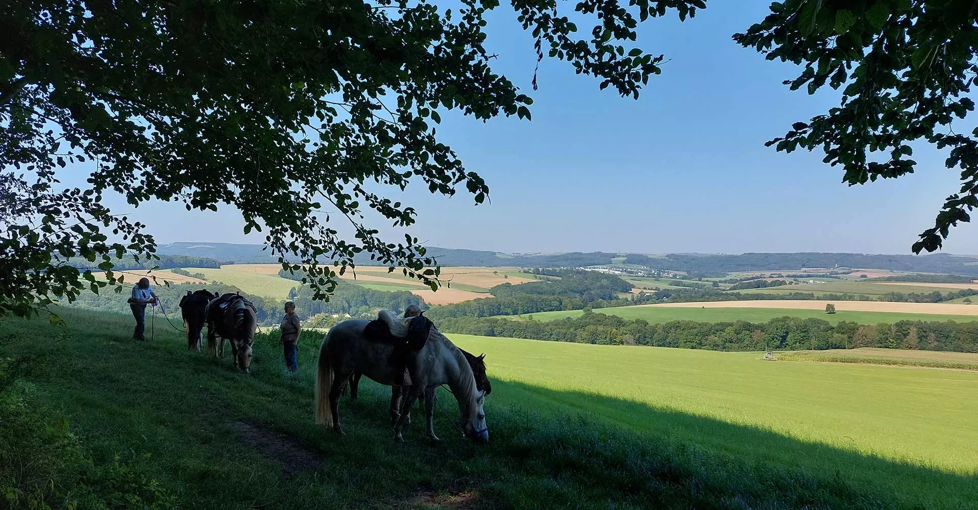 Wanderreiter machen Pause mit Ausblick