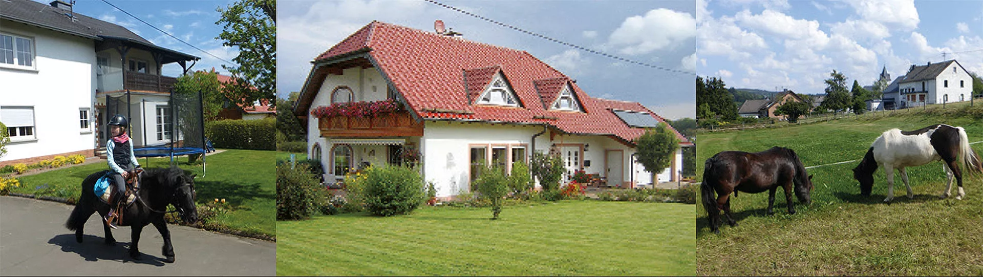 Wanderreitstation 01 Haus Weiden und Pferde